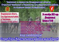 Открытый чемпионат и первенство Гусь-Хрустального района по лыжным гонкам (лыжероллеры) Открытый чемпионат и первенство Гусь-Хрустального района по лыжным гонкам (лыжероллеры)